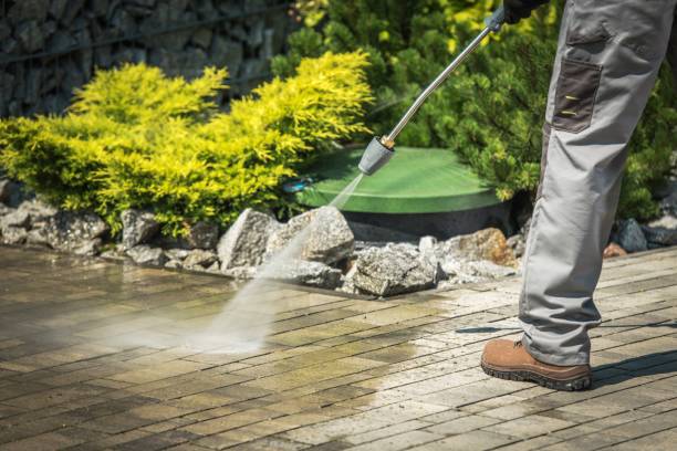 Best Boat and Dock Cleaning  in Homeland Park, SC