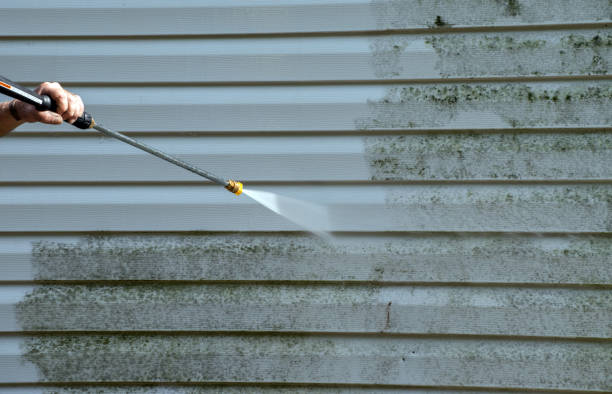 Solar Panel Cleaning in Homeland Park, SC